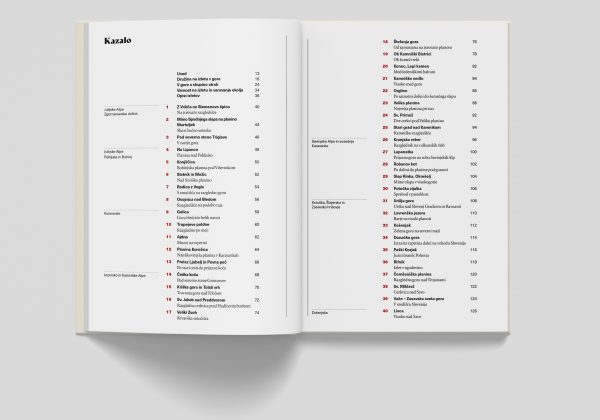 Mockups Design