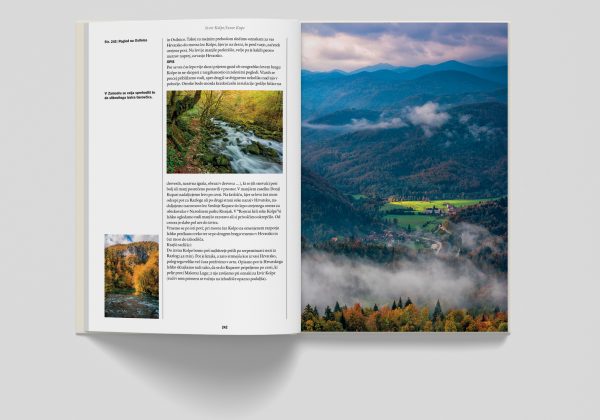 Mockups Design